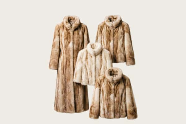 东莞虎门镇回收皮草衣服
